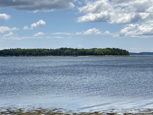 157 Jellison Cove Rd, Hancock, ME 04640 - photo 28