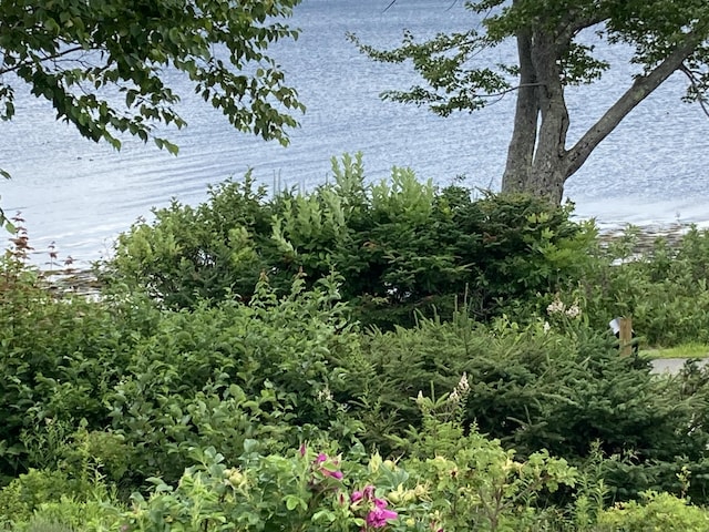 157 Jellison Cove Rd, Hancock, ME 04640 - photo 29
