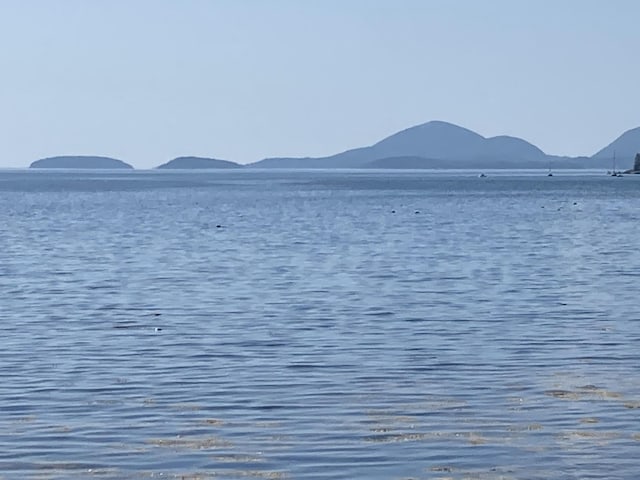 157 Jellison Cove Rd, Hancock, ME 04640 - photo 30
