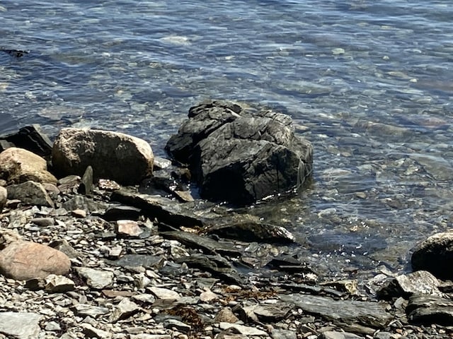 157 Jellison Cove Rd, Hancock, ME 04640 - photo 33