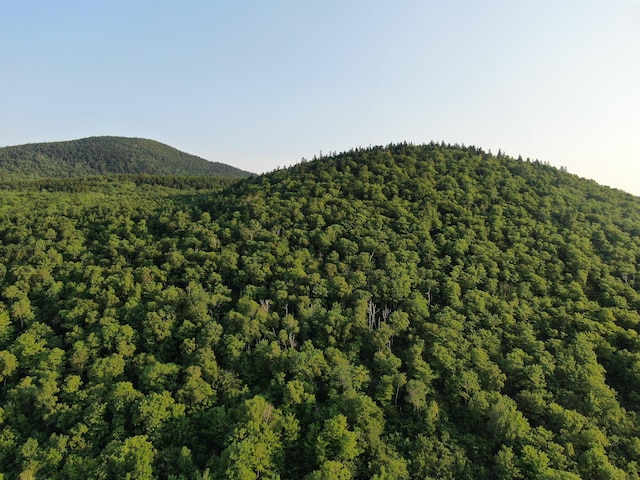 M8L4 Mountain Rd, Mount Chase, ME 04765 - photo 2