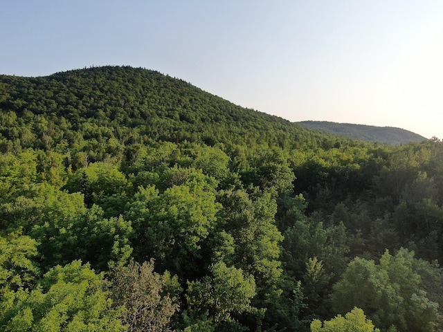 M8L4 Mountain Rd, Mount Chase, ME 04765 - photo 5