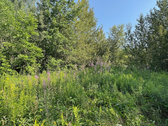 M8L4 Mountain Rd, Mount Chase, ME 04765 - photo 6