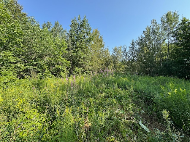 M8L4 Mountain Rd, Mount Chase, ME 04765 - photo 7