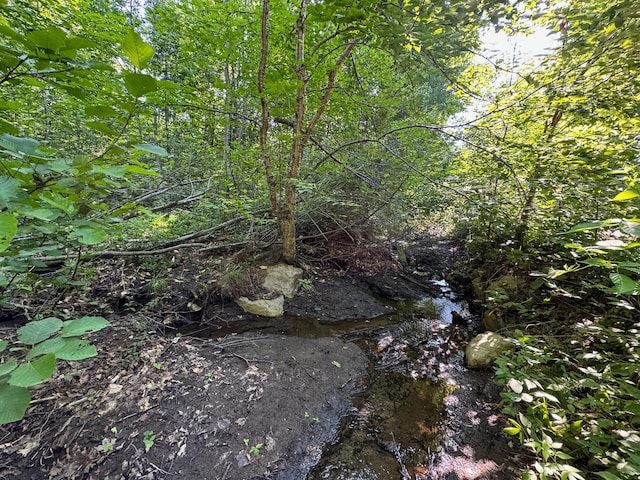 M8L4 Mountain Rd, Mount Chase, ME 04765 - photo 13