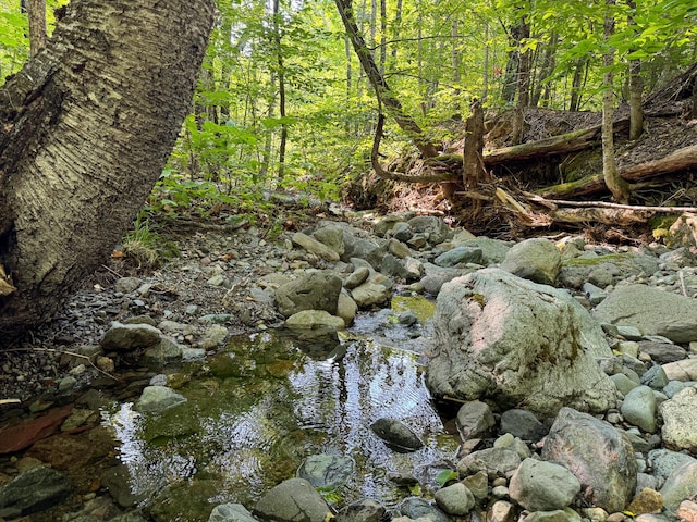 M8L4 Mountain Rd, Mount Chase, ME 04765 - photo 14