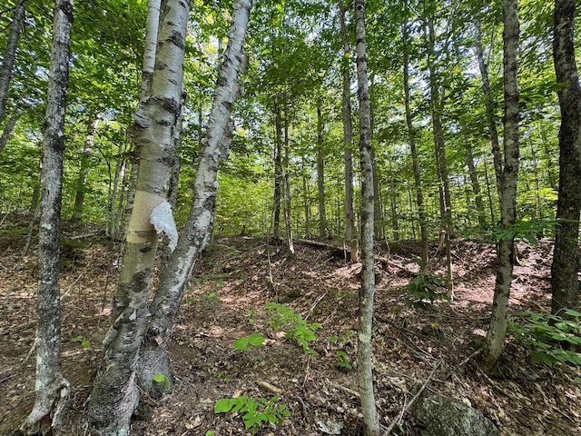 M8L4 Mountain Rd, Mount Chase, ME 04765 - photo 17