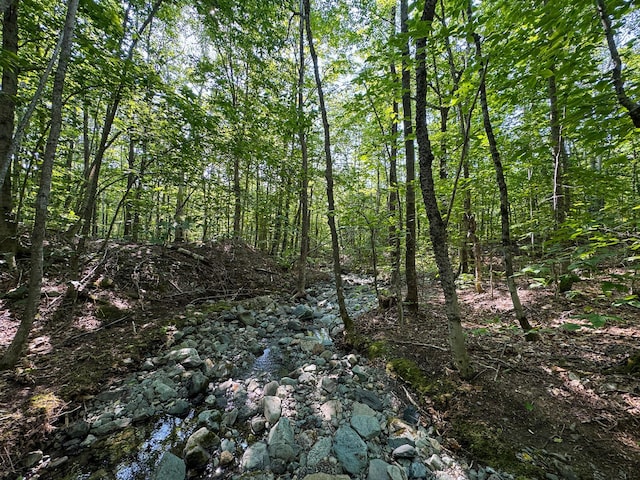 M8L4 Mountain Rd, Mount Chase, ME 04765 - photo 18