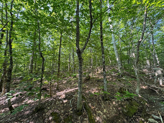 M8L4 Mountain Rd, Mount Chase, ME 04765 - photo 19
