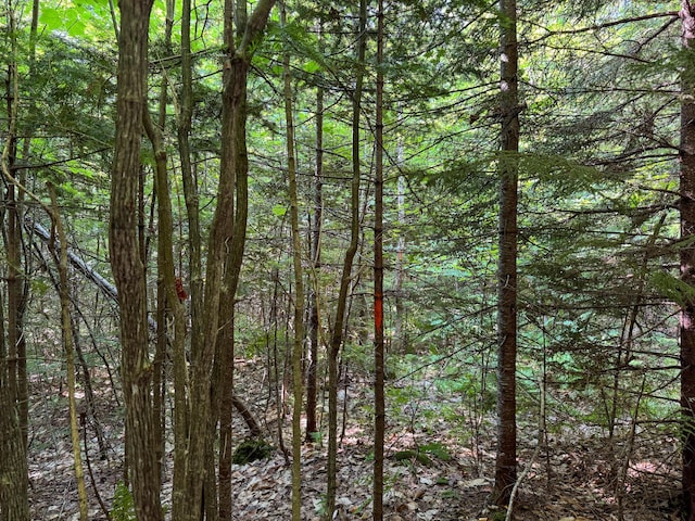 M8L4 Mountain Rd, Mount Chase, ME 04765 - photo 21