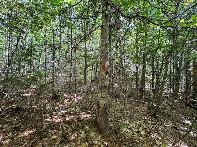 M8L4 Mountain Rd, Mount Chase, ME 04765 - photo 22