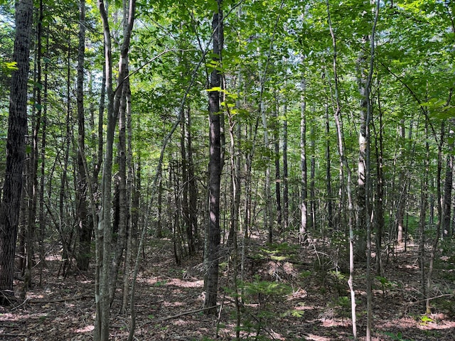 M8L4 Mountain Rd, Mount Chase, ME 04765 - photo 23