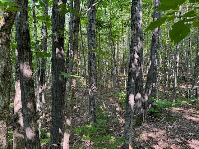M8L4 Mountain Rd, Mount Chase, ME 04765 - photo 24