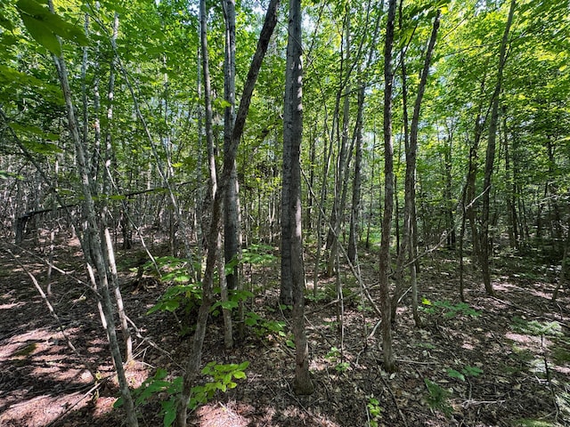 M8L4 Mountain Rd, Mount Chase, ME 04765 - photo 25