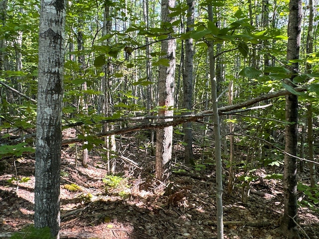 M8L4 Mountain Rd, Mount Chase, ME 04765 - photo 26