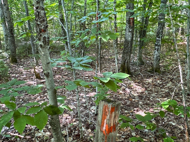 M8L4 Mountain Rd, Mount Chase, ME 04765 - photo 28