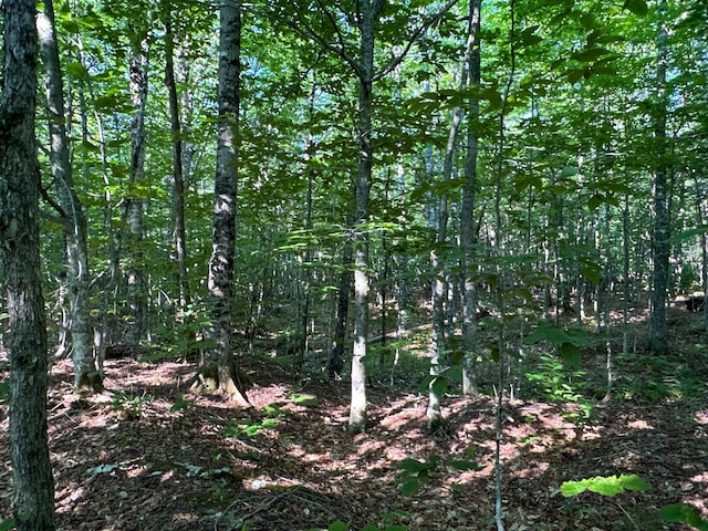 M8L4 Mountain Rd, Mount Chase, ME 04765 - photo 32