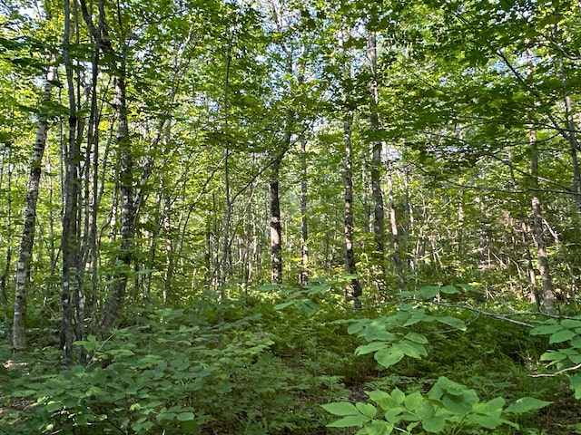 M8L4 Mountain Rd, Mount Chase, ME 04765 - photo 33