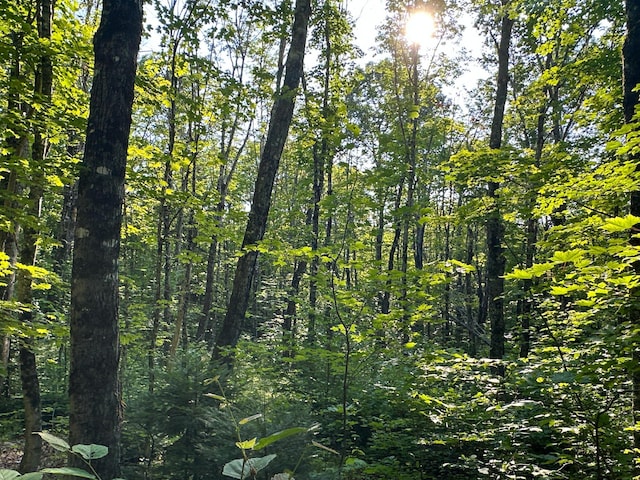 M8L4 Mountain Rd, Mount Chase, ME 04765 - photo 34