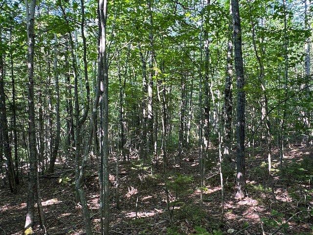 M8L4 Mountain Rd, Mount Chase, ME 04765 - photo 35