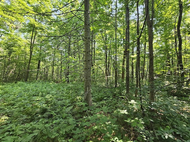 26 Moose Pond Rd, Mount Vernon, ME 04352 - photo 29