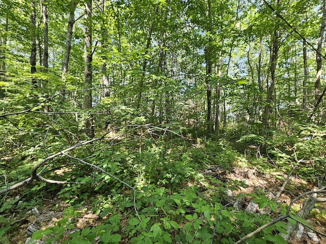 26 Moose Pond Rd, Mount Vernon, ME 04352 - photo 30