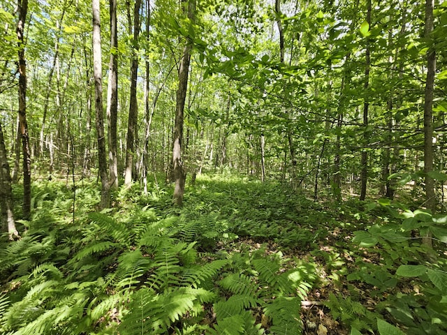 26 Moose Pond Rd, Mount Vernon, ME 04352 - photo 33