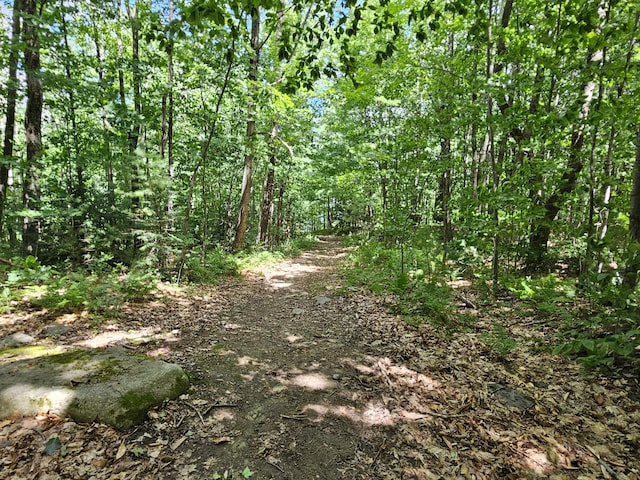 26 Moose Pond Rd, Mount Vernon, ME 04352 - photo 38