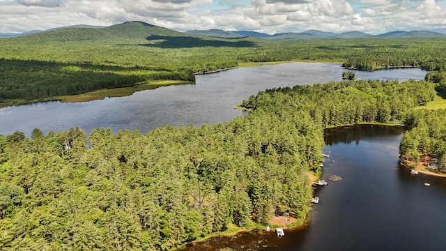 770 Ebeemee Lake Rd, Ebeemee Twp, ME 04414 - photo 2