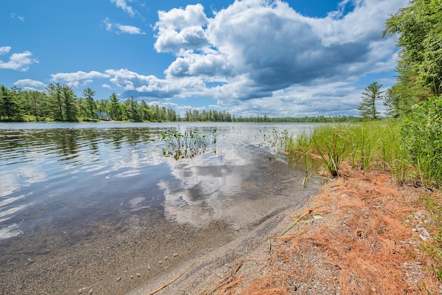 770 Ebeemee Lake Rd, Ebeemee Twp, ME 04414 - photo 3