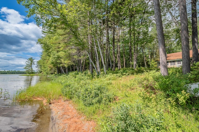 770 Ebeemee Lake Rd, Ebeemee Twp, ME 04414 - photo 37