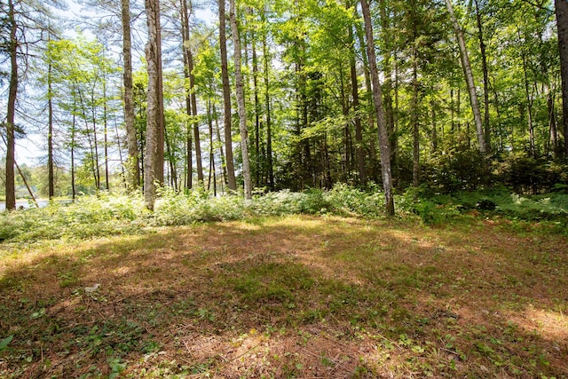 770 Ebeemee Lake Rd, Ebeemee Twp, ME 04414 - photo 42