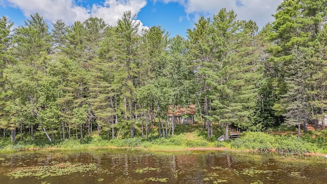 770 Ebeemee Lake Rd, Ebeemee Twp, ME 04414 - photo 54