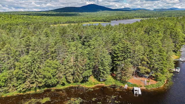 770 Ebeemee Lake Rd, Ebeemee Twp, ME 04414 - photo 56
