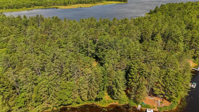 770 Ebeemee Lake Rd, Ebeemee Twp, ME 04414 - photo 57