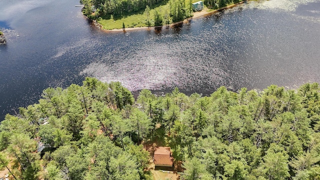 770 Ebeemee Lake Rd, Ebeemee Twp, ME 04414 - photo 59