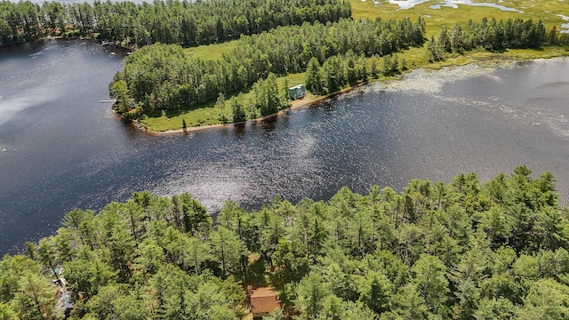 770 Ebeemee Lake Rd, Ebeemee Twp, ME 04414 - photo 60