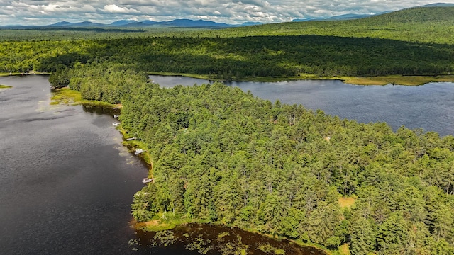770 Ebeemee Lake Rd, Ebeemee Twp, ME 04414 - photo 62