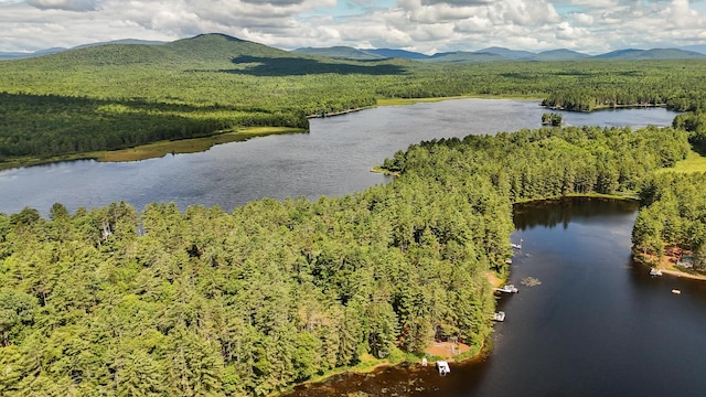 770 Ebeemee Lake Rd, Ebeemee Twp, ME 04414 - photo 63