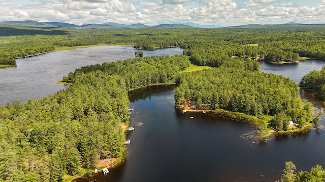 770 Ebeemee Lake Rd, Ebeemee Twp, ME 04414 - photo 64