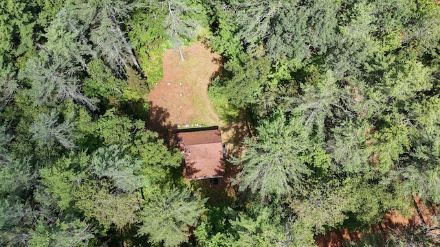 770 Ebeemee Lake Rd, Ebeemee Twp, ME 04414 - photo 65