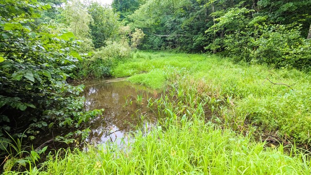 29 Kents Hill Rd, Wayne, ME 04284 - photo 3