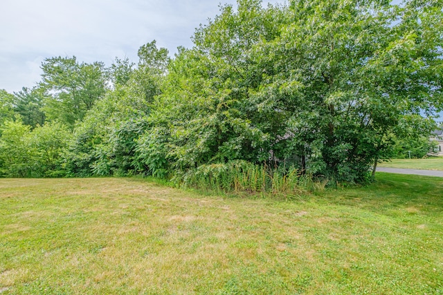 76 Buttonbush Ln, Wells, ME 04090 - photo 69