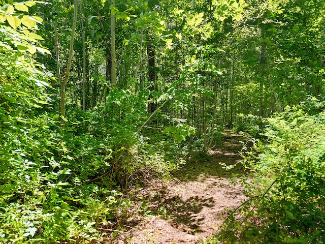 510 Youngtown Rd, Lincolnville, ME 04849 - photo 80