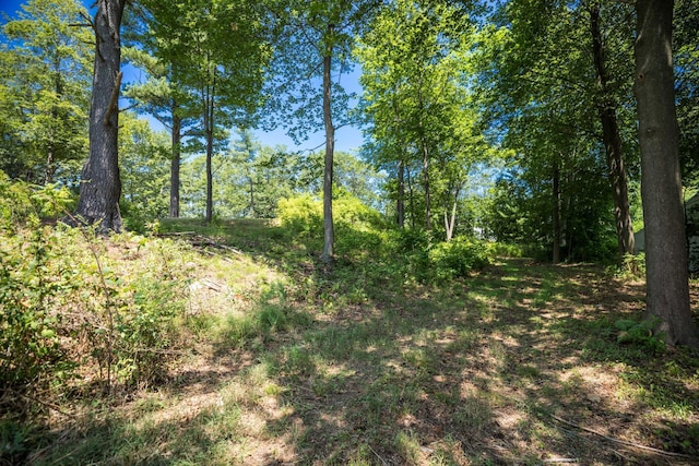 9 Cook St, Kittery, ME 03904 - photo 14