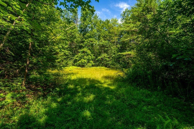 196 Main St, Buxton, ME 04093 - photo 43