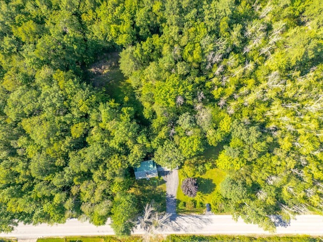 196 Main St, Buxton, ME 04093 - photo 50