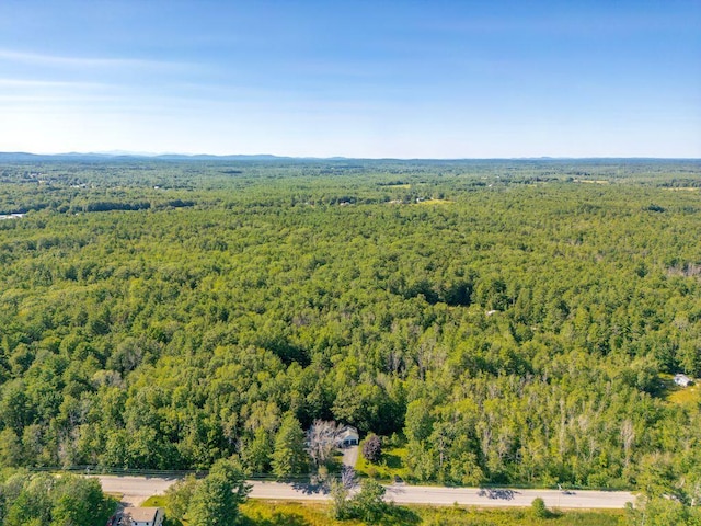 196 Main St, Buxton, ME 04093 - photo 57