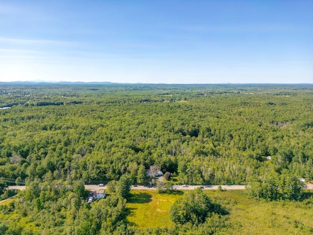 196 Main St, Buxton, ME 04093 - photo 58