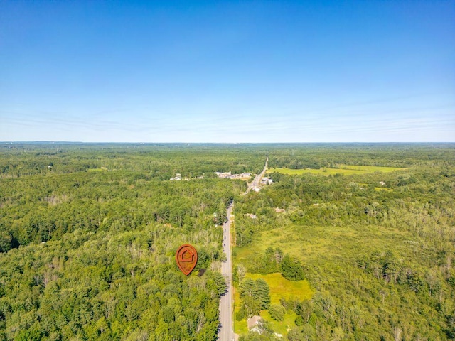 196 Main St, Buxton, ME 04093 - photo 59